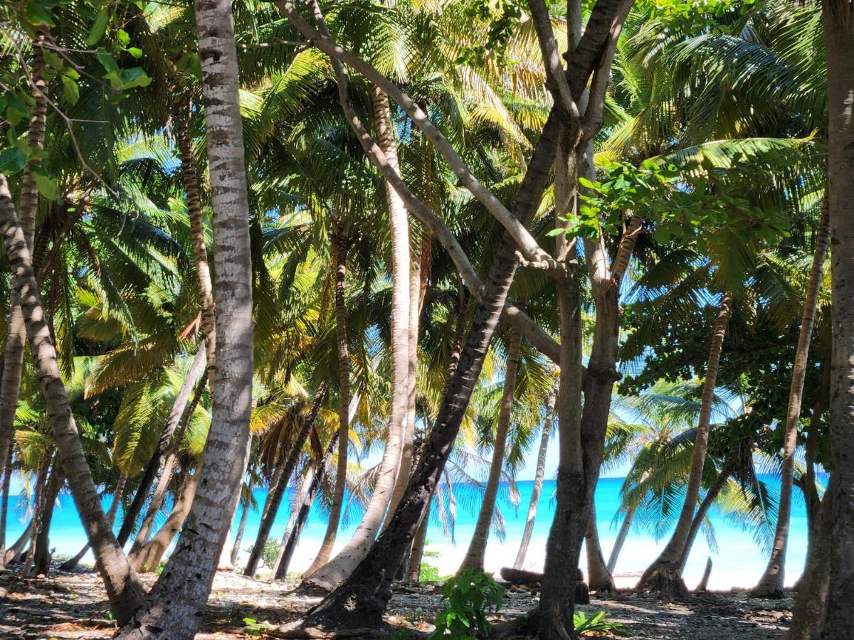 Beachfront Apartment, Quiet 4 Beds, 1 Bath, Ac, Wi-Fi, Hot Water, In Paraiso Near Los Patos Luaran gambar