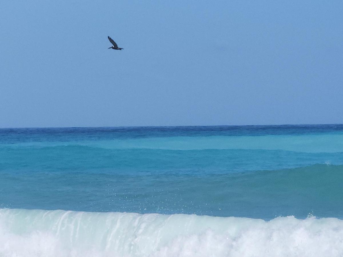 Beachfront Apartment, Quiet 4 Beds, 1 Bath, Ac, Wi-Fi, Hot Water, In Paraiso Near Los Patos Luaran gambar